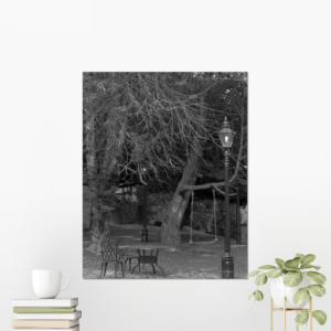 black and white photograph of table and chairs in a garden