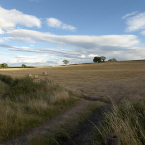 A quiet composition capturing the expansive rhythm of the late-summer landscape. Leading lines from a rustic footpath draw the eye past wild grasses into vast fields of golden stubble, punctuated by distant hay bales and lone trees. Overhead, dynamic cloudscapes stretch across a bright blue horizon, balancing earthy, organic warmth with open air and light. Photographer: Stephane Loustalot