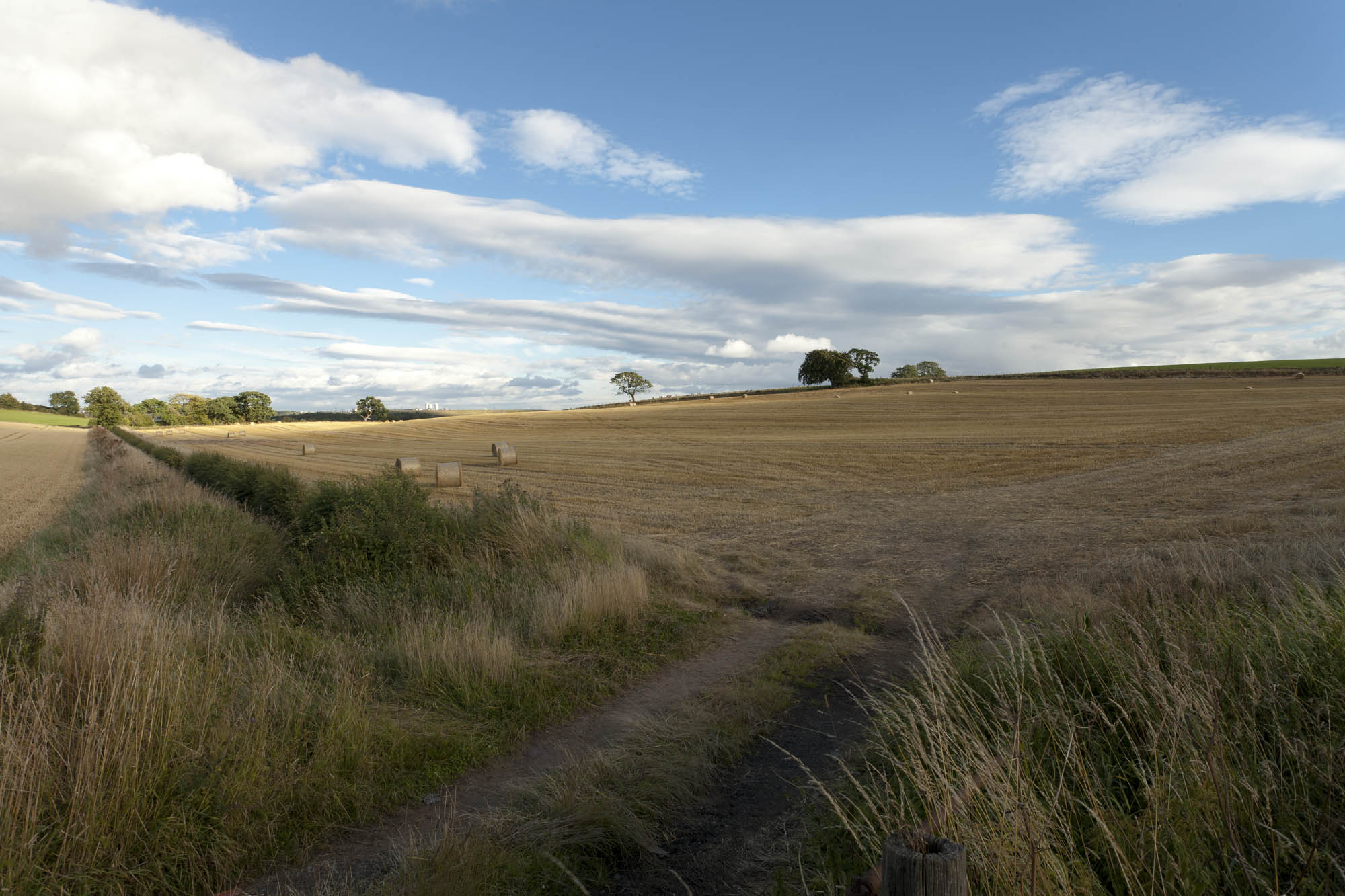 A quiet composition capturing the expansive rhythm of the late-summer landscape. Leading lines from a rustic footpath draw the eye past wild grasses into vast fields of golden stubble, punctuated by distant hay bales and lone trees. Overhead, dynamic cloudscapes stretch across a bright blue horizon, balancing earthy, organic warmth with open air and light. Photographer: Stephane Loustalot